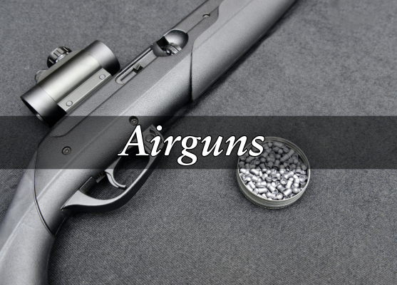 airguns cover image